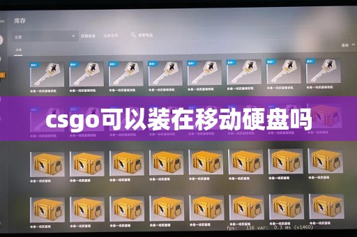 csgo可以装在移动硬盘吗