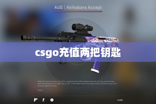 csgo充值两把钥匙