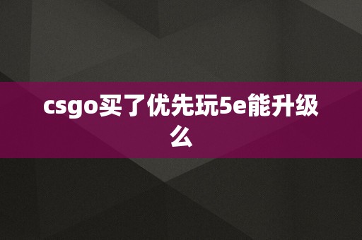 csgo买了优先玩5e能升级么