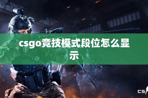 csgo竞技模式段位怎么显示