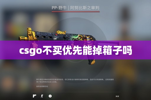 csgo不买优先能掉箱子吗