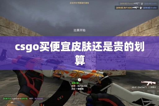 csgo买便宜皮肤还是贵的划算