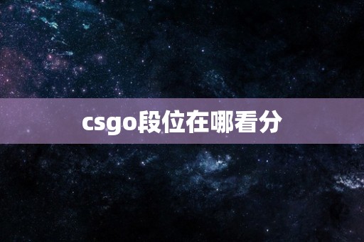 csgo段位在哪看分