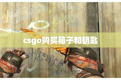 csgo购买箱子和钥匙