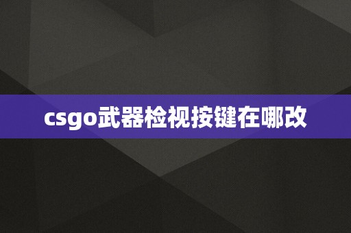 csgo武器检视按键在哪改