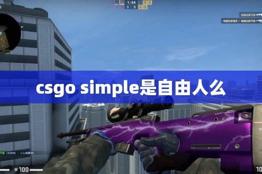 csgo simple是自由人么