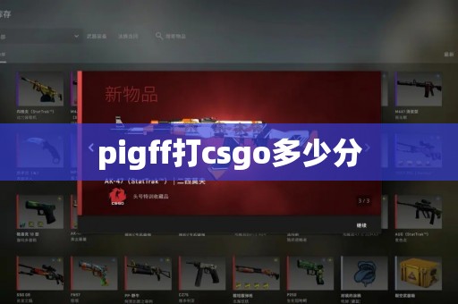 pigff打csgo多少分