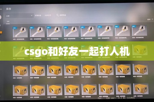 csgo和好友一起打人机