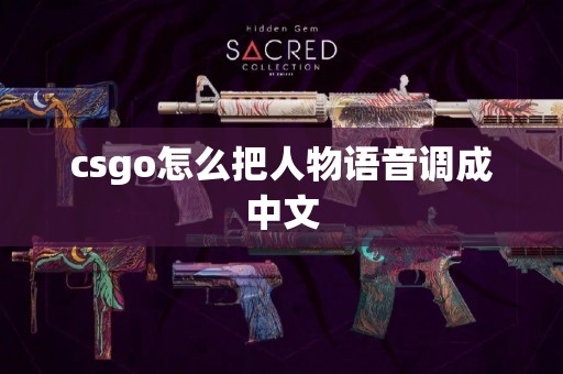 csgo怎么把人物语音调成中文