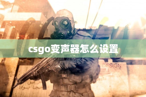 csgo变声器怎么设置