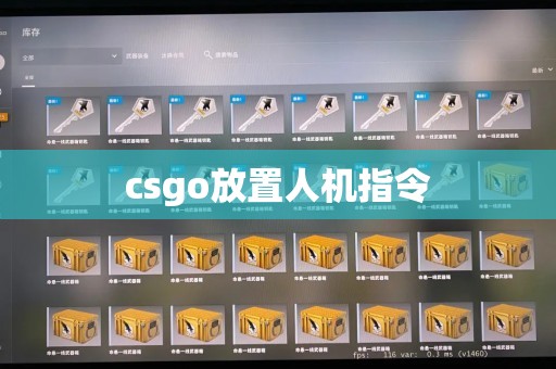 csgo放置人机指令