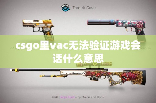 csgo里vac无法验证游戏会话什么意思