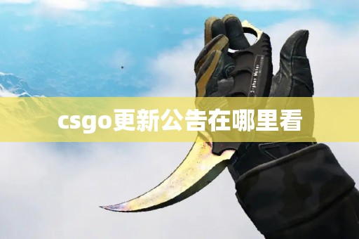 csgo更新公告在哪里看