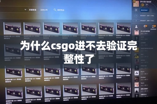 为什么csgo进不去验证完整性了