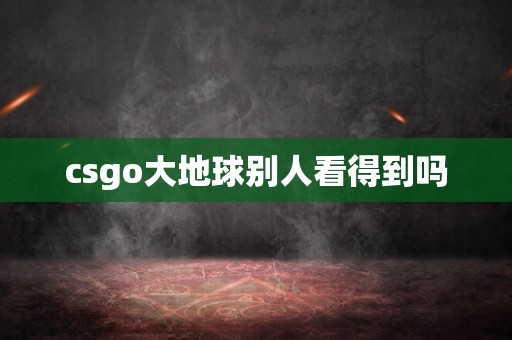 csgo大地球别人看得到吗