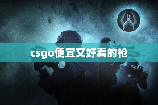 csgo便宜又好看的枪