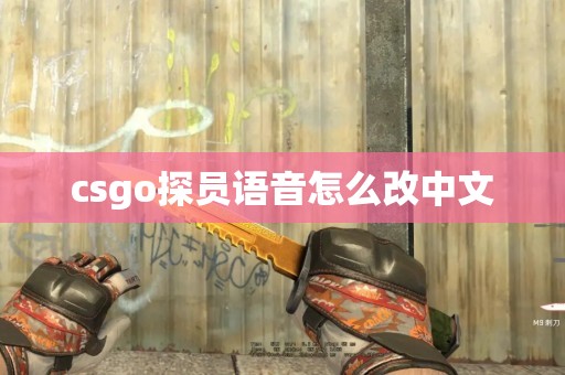 csgo探员语音怎么改中文