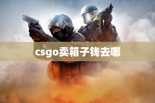 csgo卖箱子钱去哪