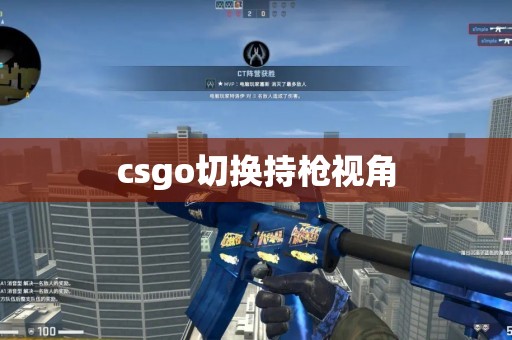 csgo切换持枪视角