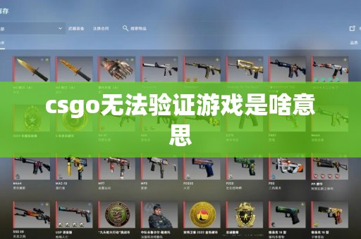 csgo无法验证游戏是啥意思