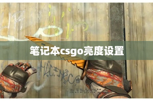 笔记本csgo亮度设置