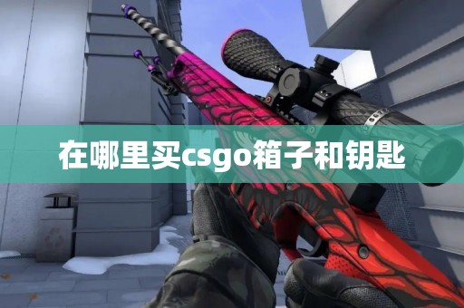 在哪里买csgo箱子和钥匙