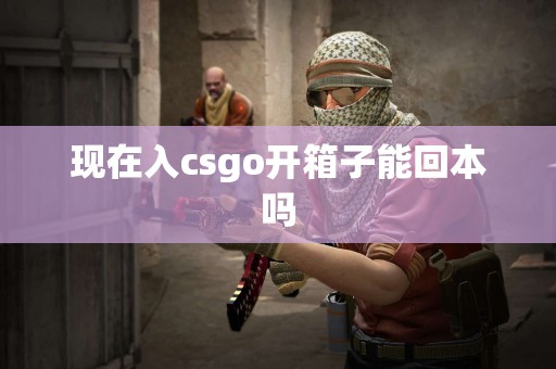 现在入csgo开箱子能回本吗