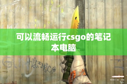 可以流畅运行csgo的笔记本电脑