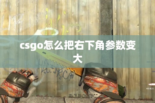 csgo怎么把右下角参数变大