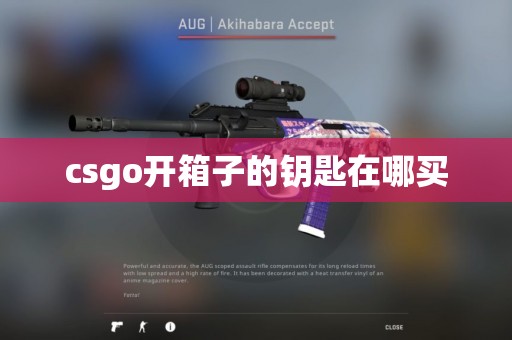 csgo开箱子的钥匙在哪买