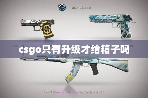 csgo只有升级才给箱子吗