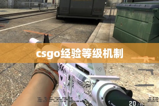 csgo经验等级机制