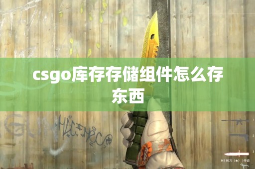 csgo库存存储组件怎么存东西