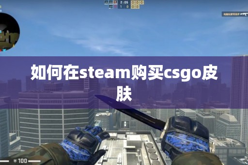 如何在steam购买csgo皮肤