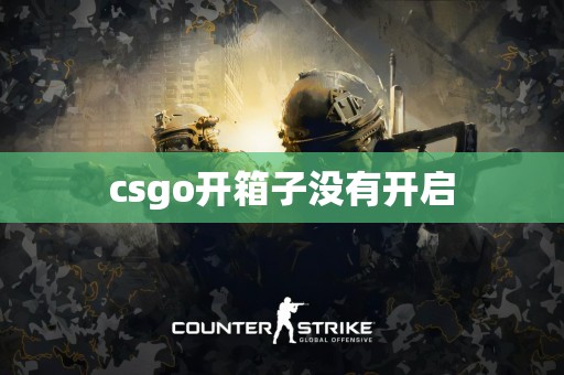 csgo开箱子没有开启