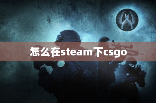 怎么在steam下csgo