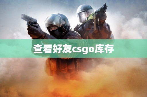 查看好友csgo库存