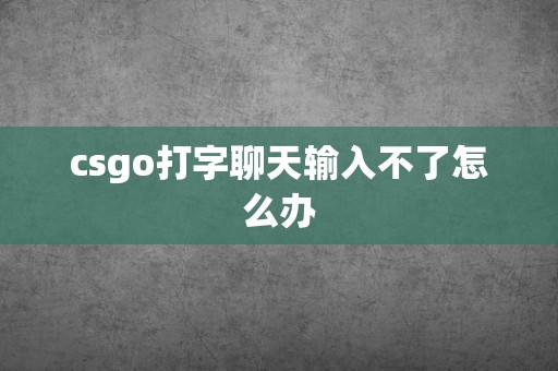 csgo打字聊天输入不了怎么办