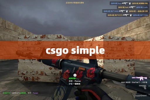 csgo simple