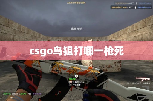 csgo鸟狙打哪一枪死