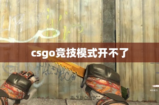 csgo竞技模式开不了