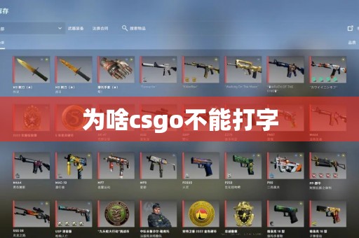 为啥csgo不能打字