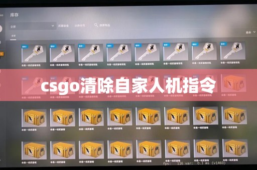 csgo清除自家人机指令