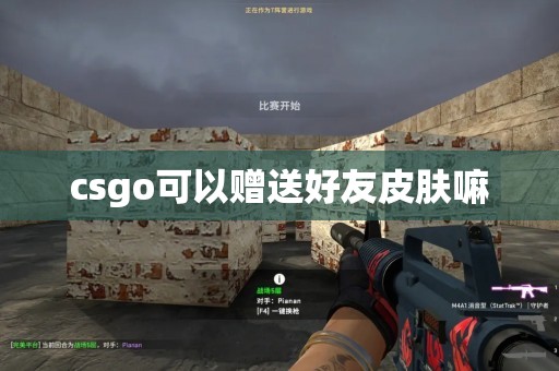 csgo可以赠送好友皮肤嘛