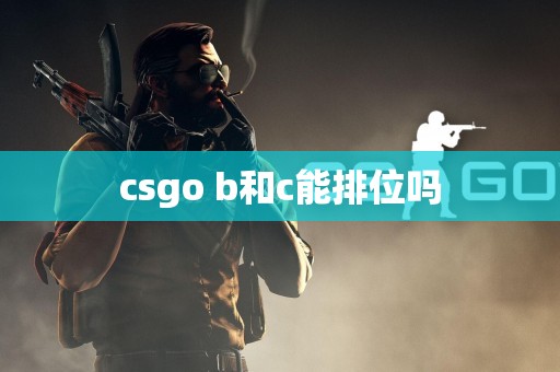 csgo b和c能排位吗