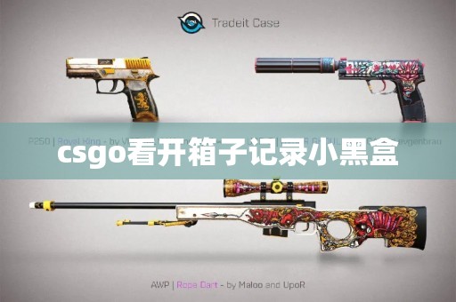 csgo看开箱子记录小黑盒