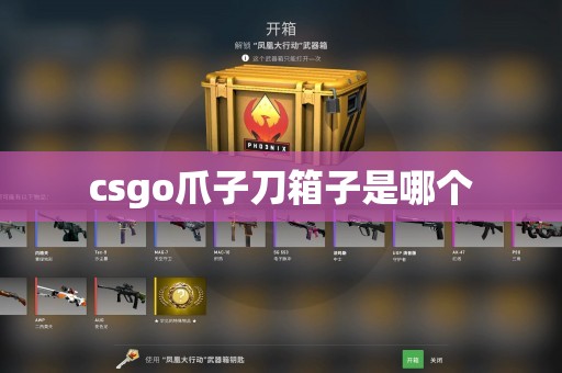 csgo爪子刀箱子是哪个