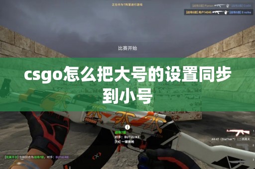 csgo怎么把大号的设置同步到小号