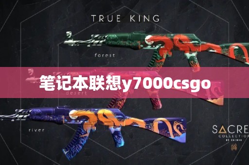 笔记本联想y7000csgo