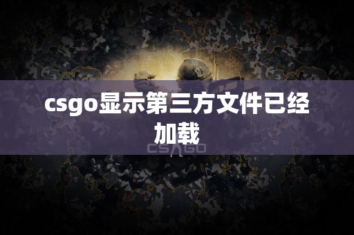 csgo显示第三方文件已经加载